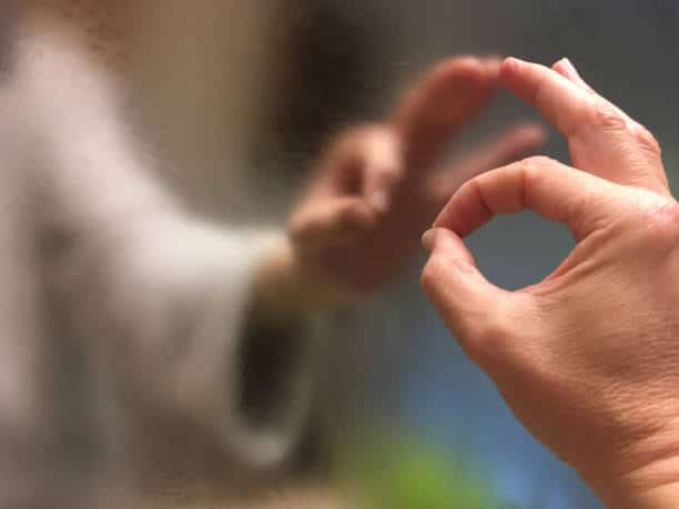 como-saber-se-o-vidro-é-temperado-porto-alegre-rs